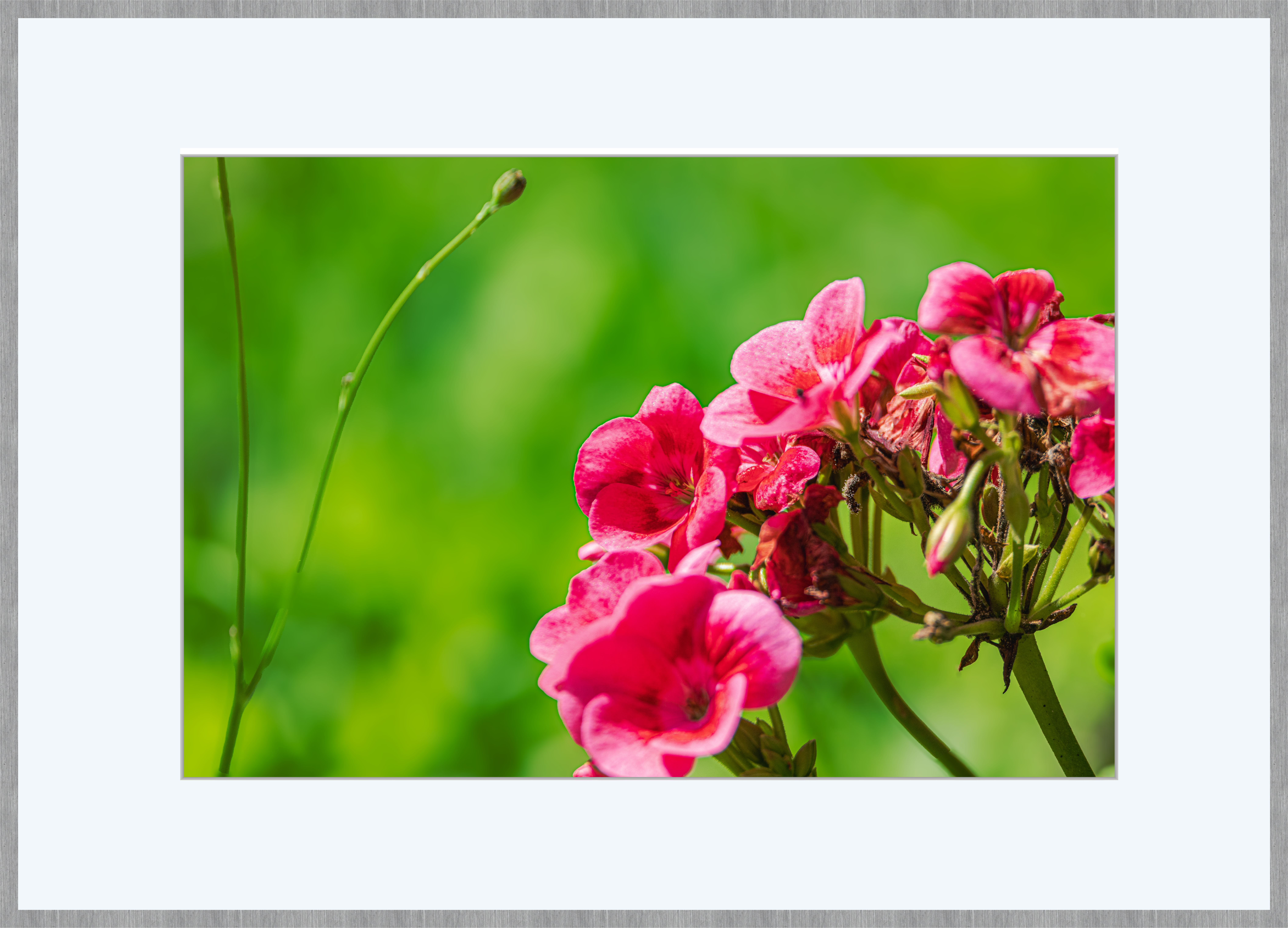 Blumen